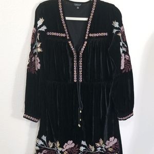 Topshop velvet embroidered long sleeve dress